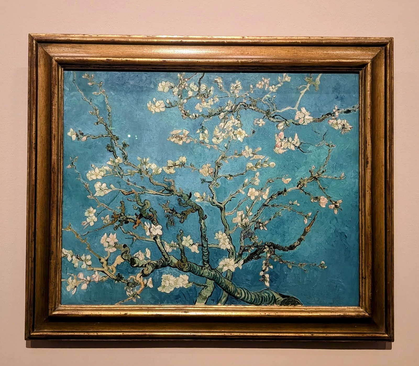花咲くアーモンドの木の枝
